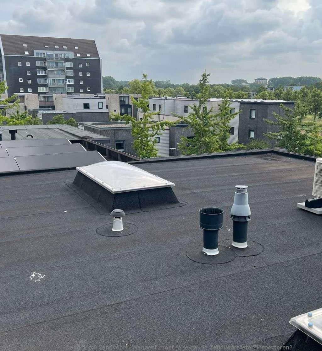 Dak Laten Inspecteren Zandvoort