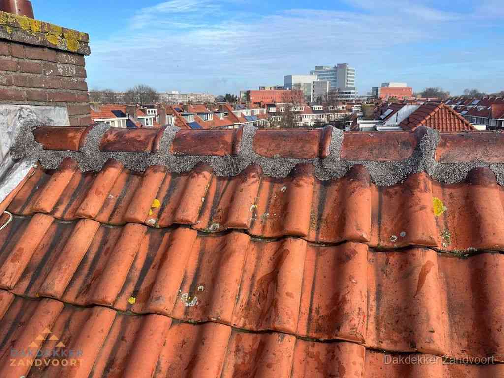 Nieuw bitumen plat dak met uitzicht over woonwijk in Zandvoort