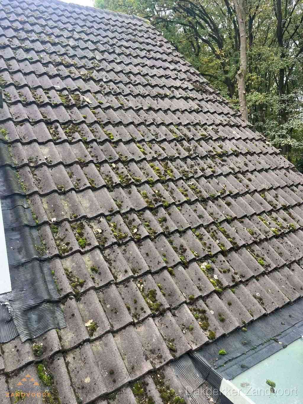Verweerd pannendak met mosgroei dat renovatie nodig heeft in Zandvoort