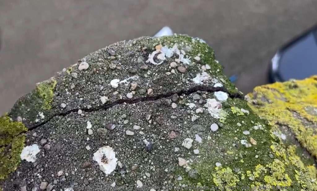 Oorzaken Van Daklekkages Zandvoort
