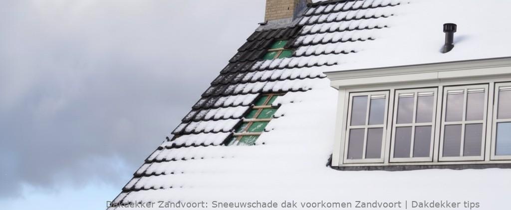 Schade Door Sneeuw En Vorst Zandvoort